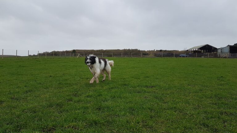 1849 ed46e0a3192aa714f801a6ca35dfc770 1 768x432