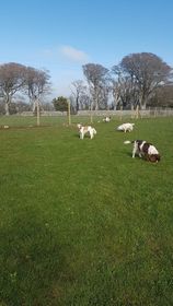 1849 facbd89631d635eacc1670f55a10d197 1