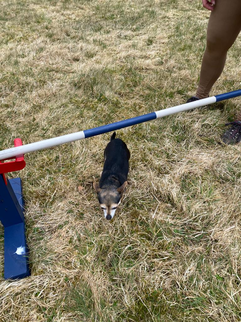 1851 0b5fb1e5db9f3c7484ee7f1223ed1449 1