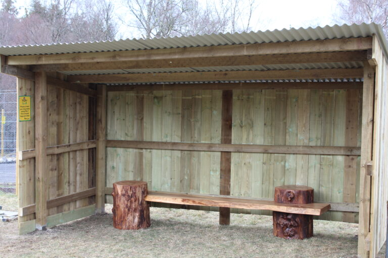 1851 5f882dab76c583e81f742d815760f115 1 768x512