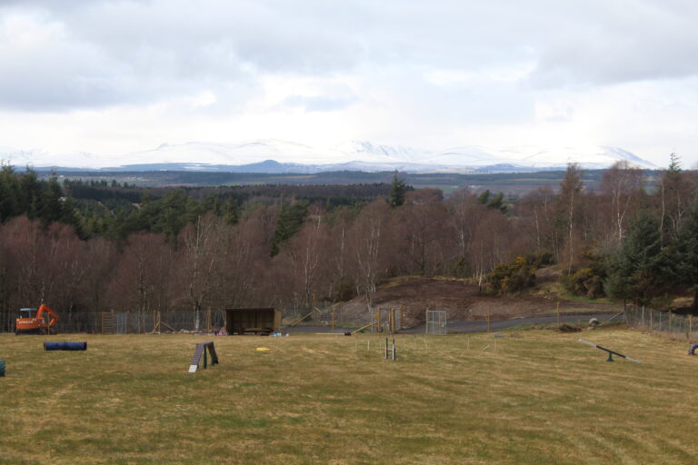 1851 6361667623195587970aeaa6ab931448 1 768x512