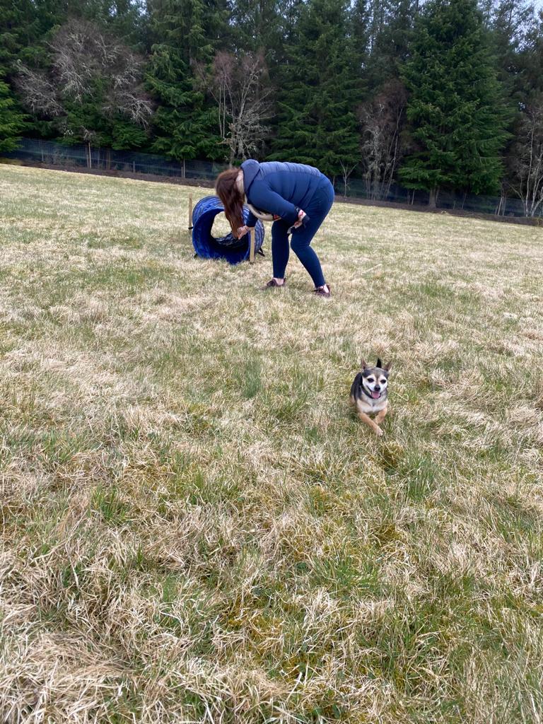 1851 8f9491aac0fc69d886f025b728d016f9 1