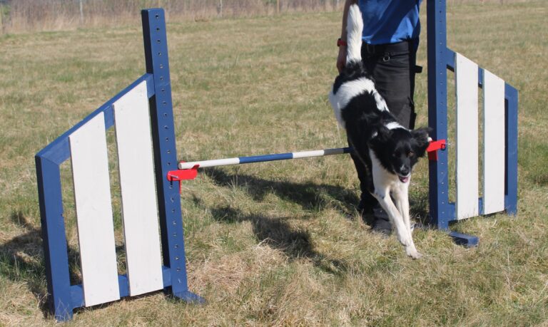 1851 d04ce5df16580f1d3eef47f5f4257947 1 768x459