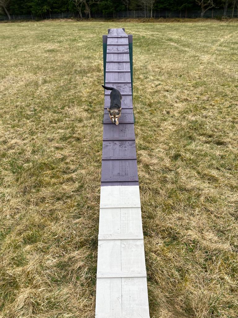 1851 d528ad8e06f225eef35a1f2613ab35b4 1