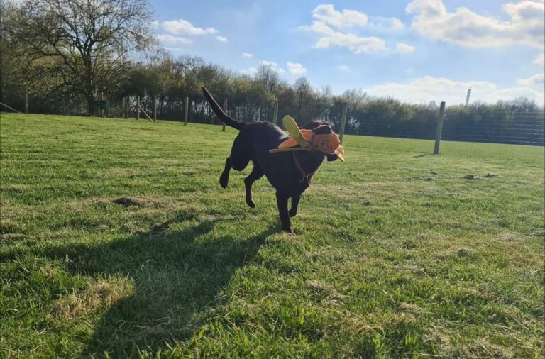 1852 105af76eafe06c3a218d0c0cea7e8394 1 768x506