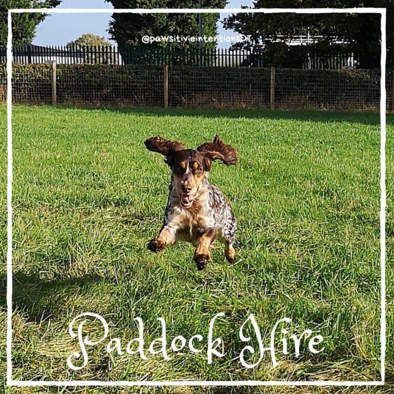 1852 4c0abd10870b7051c66652463963c4a8 1 768x768