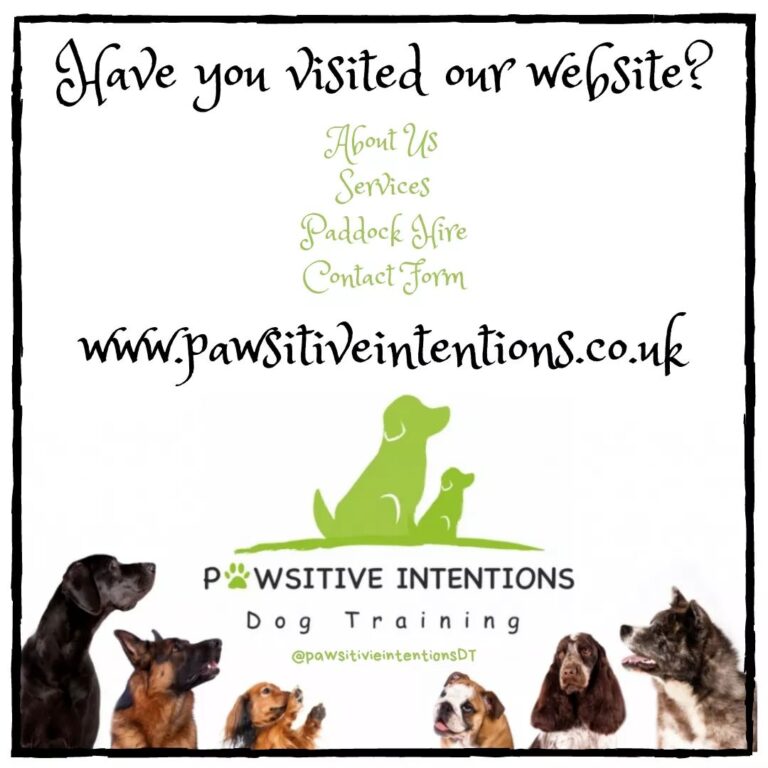 1852 5a62df93d3dd7507a35c797030380447 1 768x768