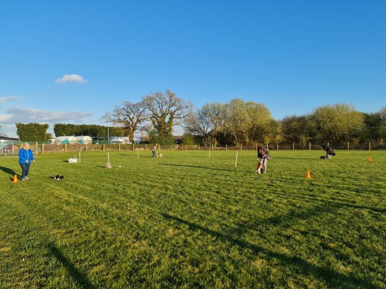 1852 d16f1693fe6a29ec00326a5e4f6f3622 1 768x576