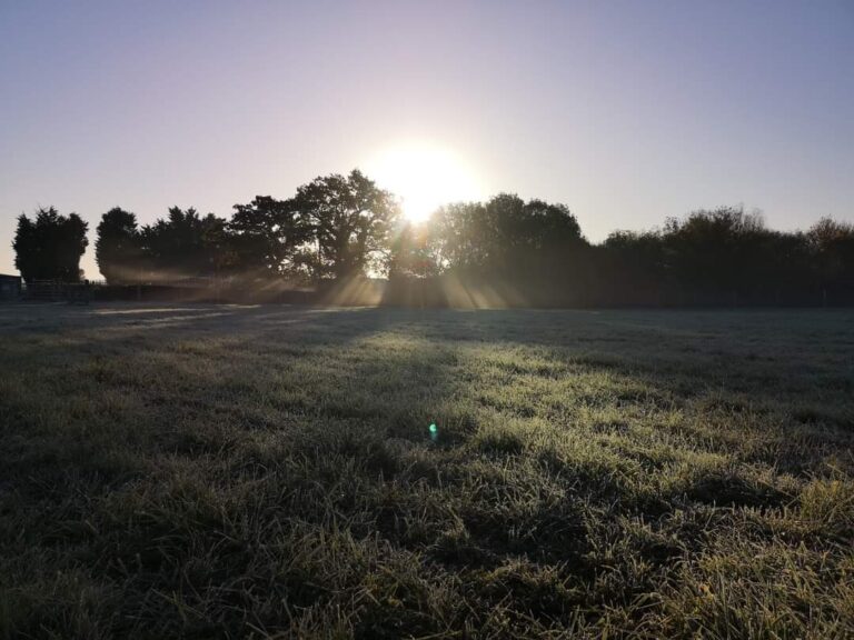 1852 f8d27eba0be53b002988778c7a87c8dd 1 768x576