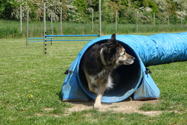 1854 14ce2acdc0e1236b2be1ee54d8c45e66 1 768x512