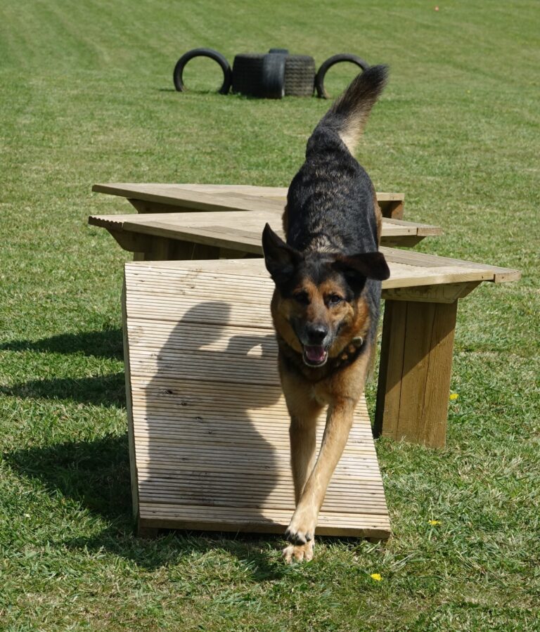 1854 cf14318cbfb929f2e17e2ed98075732e 1 768x899