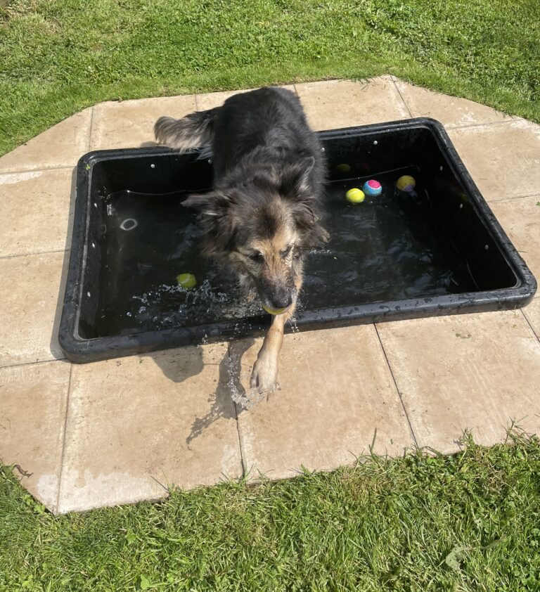 1854 d51fcafa3a0916ee341d4bd5cf099ec9 1 768x842