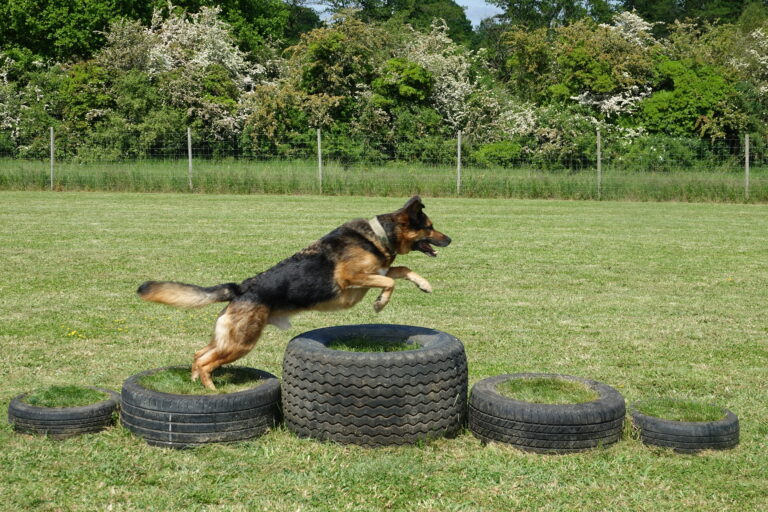 1854 e0454d61a676978bf4ad0f29148e4c04 1 768x512