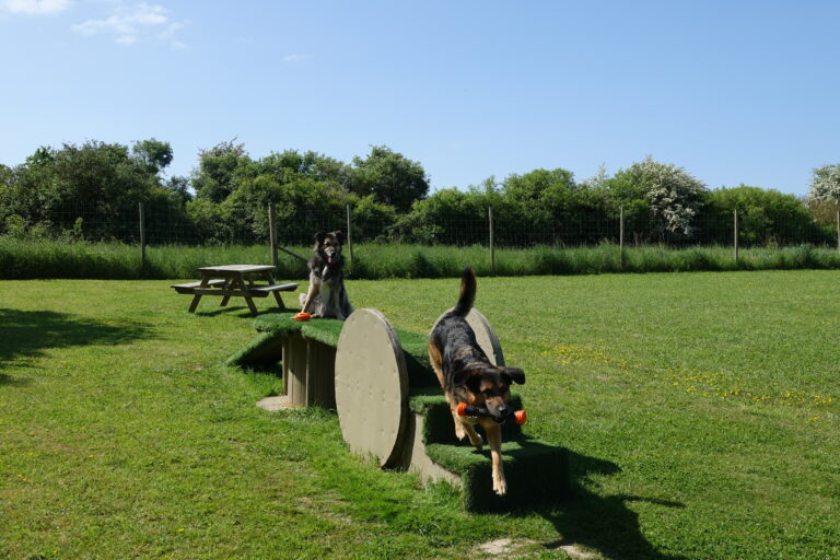 1854 f961191a4c5d91e404568dd052b2816e 1 768x512