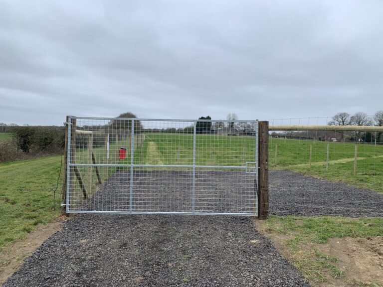 1858 067f3a747afa48f0e3c07997430db199 1 scaled 768x576