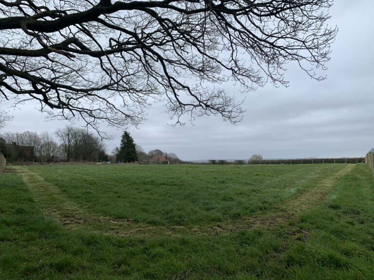 1858 457845fe07c5d00b508194614b63678a 1 768x576