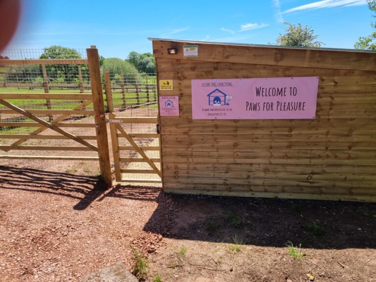 1860 069d94dca1279c882c7a1b04e813867a 1 768x576