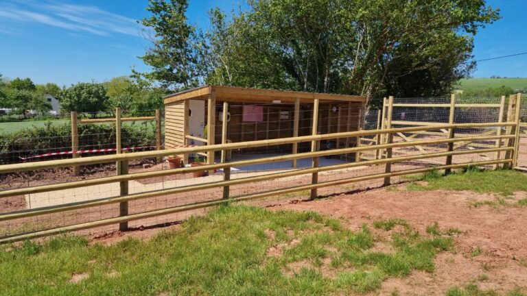 1860 a33c7f34db198ba9a410ec50d1c07e29 1 768x432