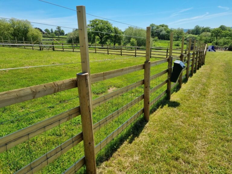 1860 c2924748ed19b01ab80ef60e289b6a02 1 768x576