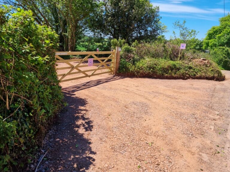 1860 dc6b1bc5d24bfc728b7230dcc0838f99 1 768x576