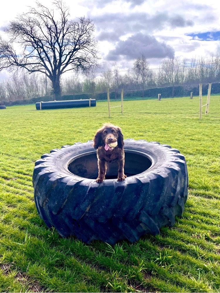 1862 24f645010f71d307235cc80e256613ba 1