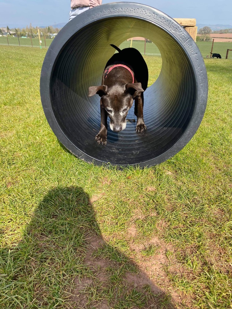 1862 430f0d995d3f03f0b2e29f973e9fdc78 1