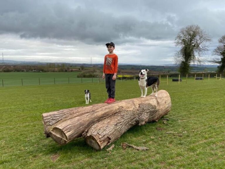 1862 46d4d54fea00feae4a40b7412edc0d85 1 768x576