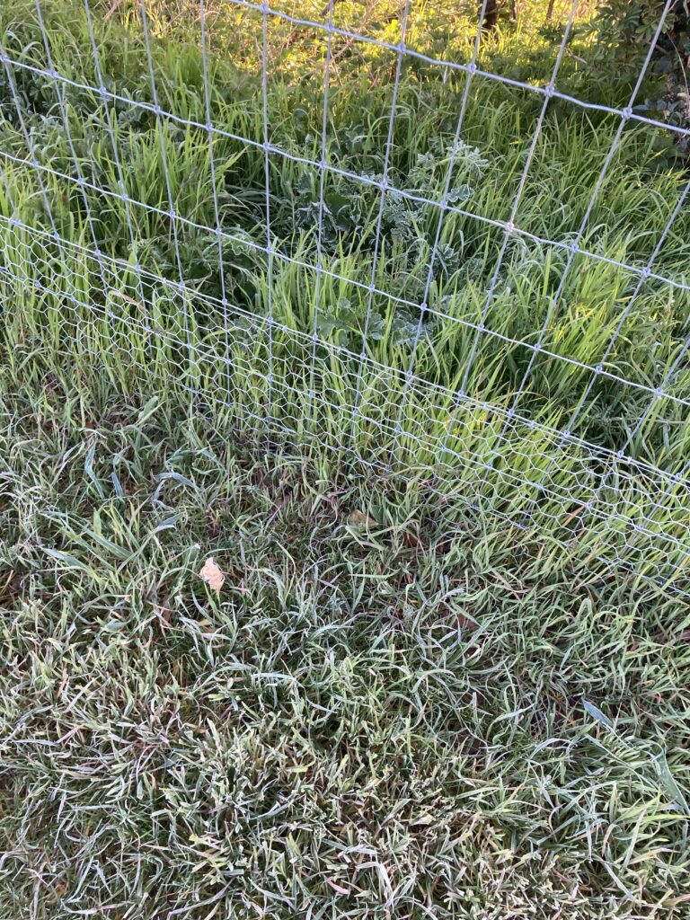 1862 772c0fbc1f79b1127ad2579926032f50 1 768x1024