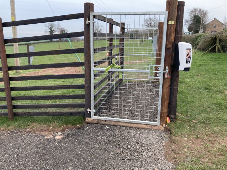 1862 7fb134adfd1093715cb05a58ce24450b 1 768x576