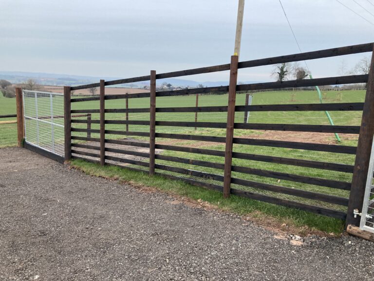 1862 982253cac3d97e6ac8fb2bd836b8cac4 1 768x576