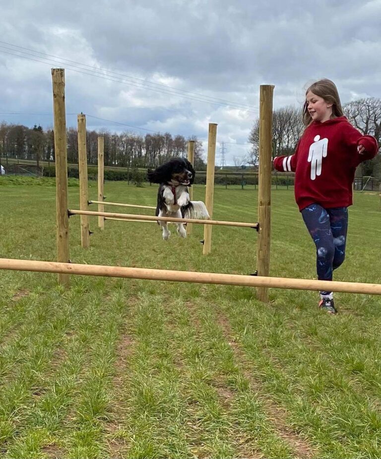 1862 ab30fd7d641ad82fe24a623b3c9c530b 1 768x925