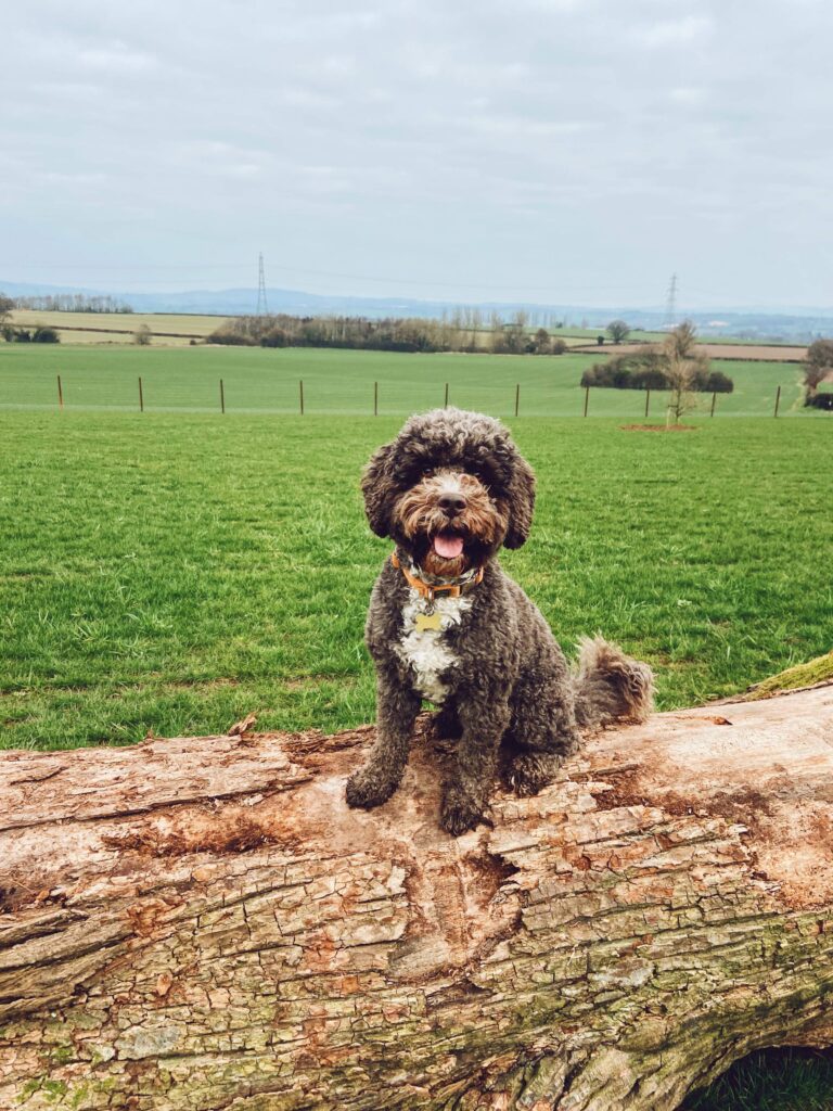 1862 ff895f9cd37c9575c96d4dd72e4ce8bb 1 768x1024