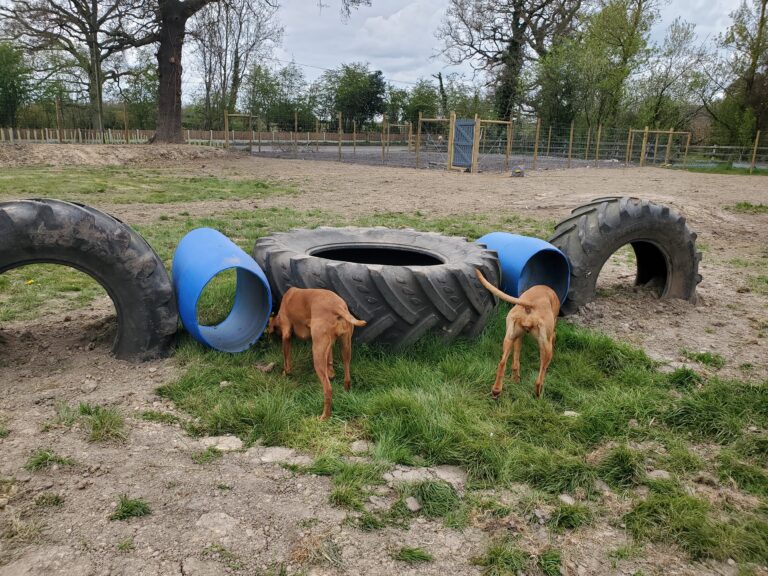 1865 507ff4e4b216d93b886975a3725275b0 1 768x576