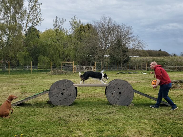 1865 ad83b01f15a5aca3b2f4783bd93ce74c 1 768x576