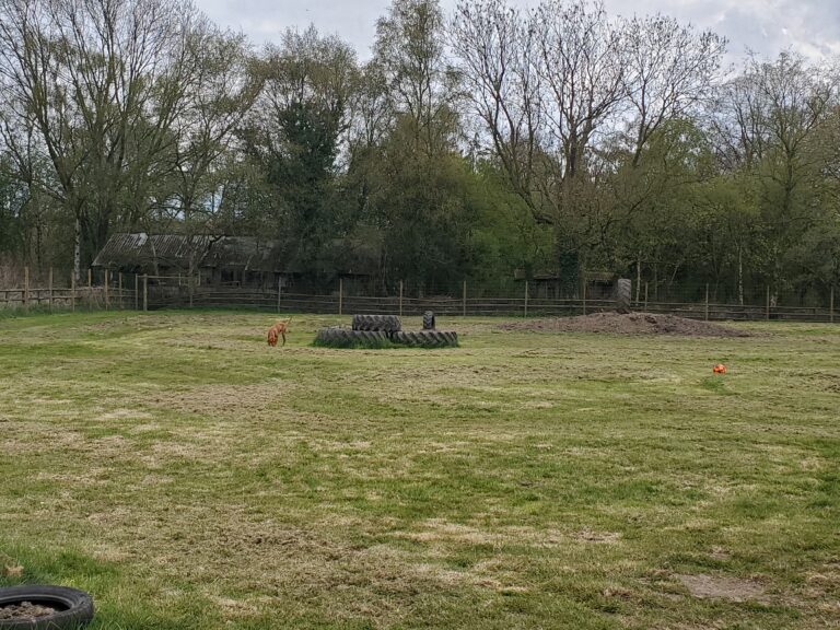 1865 c5f0776d58f09d5f75250b8179dea3c9 1 768x576