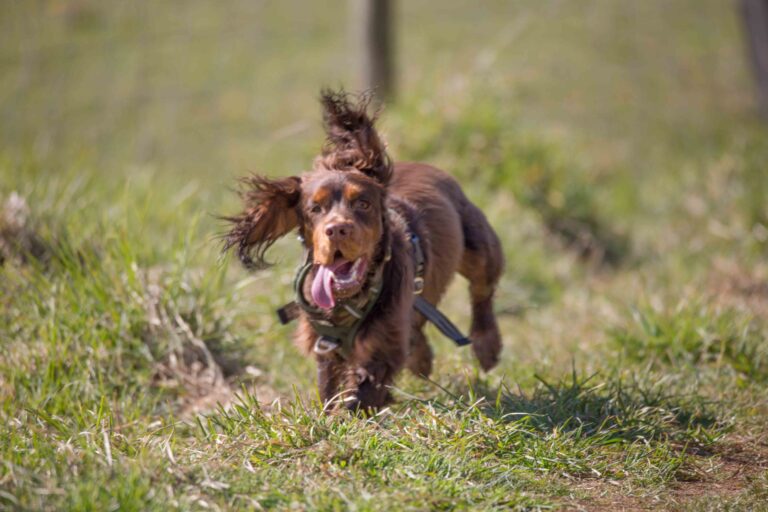 1866 6ae86f9cdad543eed56c86f9fc3a0f2b 1 scaled 768x512