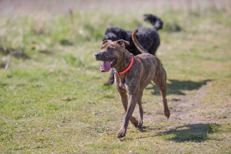 1866 a0688a5a65426d79ab645fa25b754c40 1 768x512