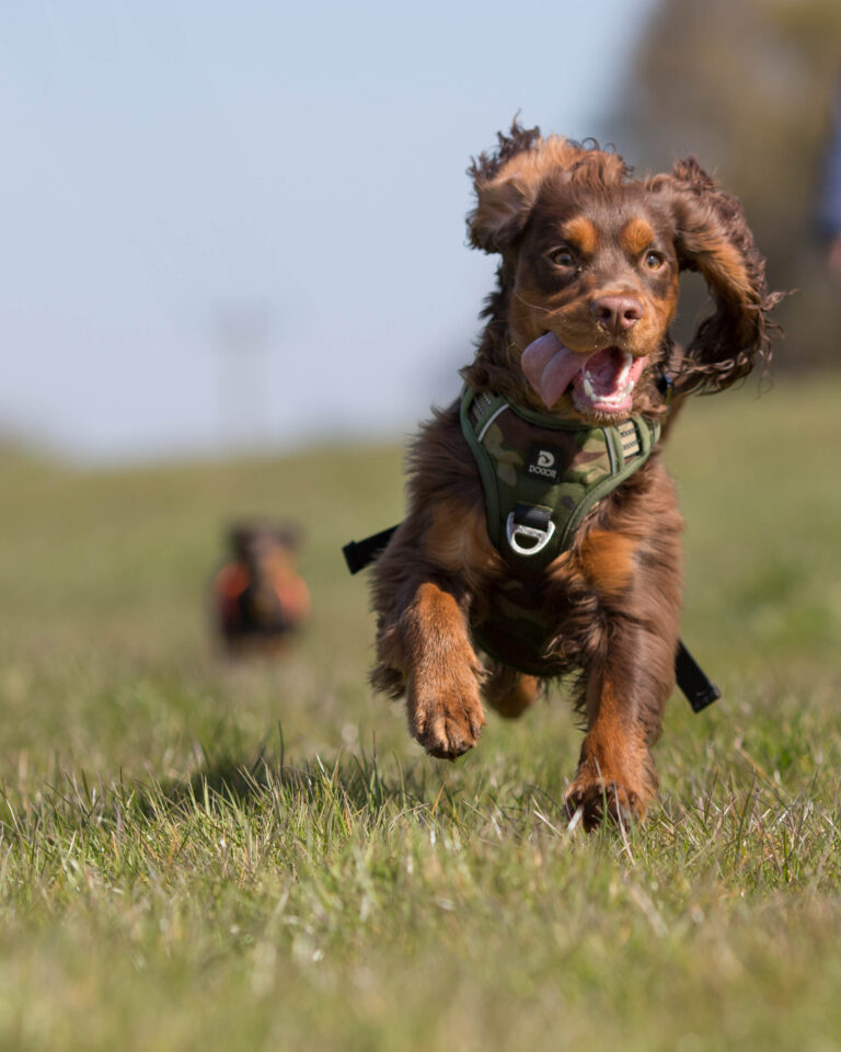 1866 dd46b8de9e930870f43ebb1883655086 1 768x960