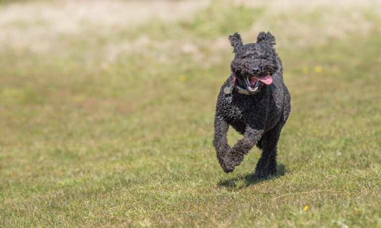 1866 f154b921fa2bcc889033bb9c5c743a97 1 768x459