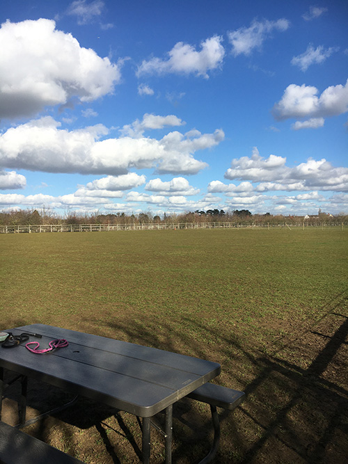 1870 59d9ab1588e00b966ba02a6a25b8356b 1