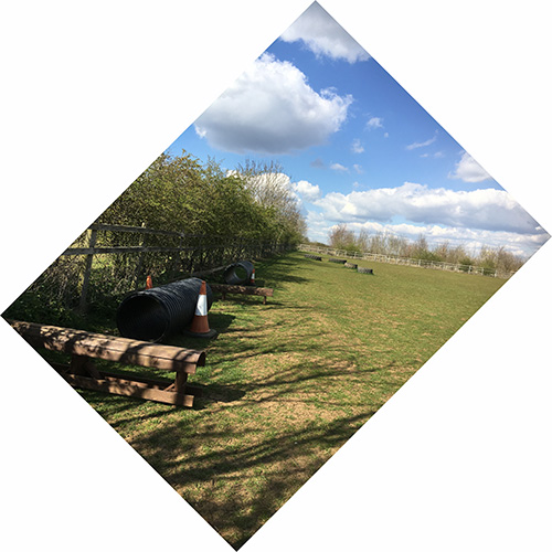 1870 8256f8843d597fefc59ee26a308ea768 1