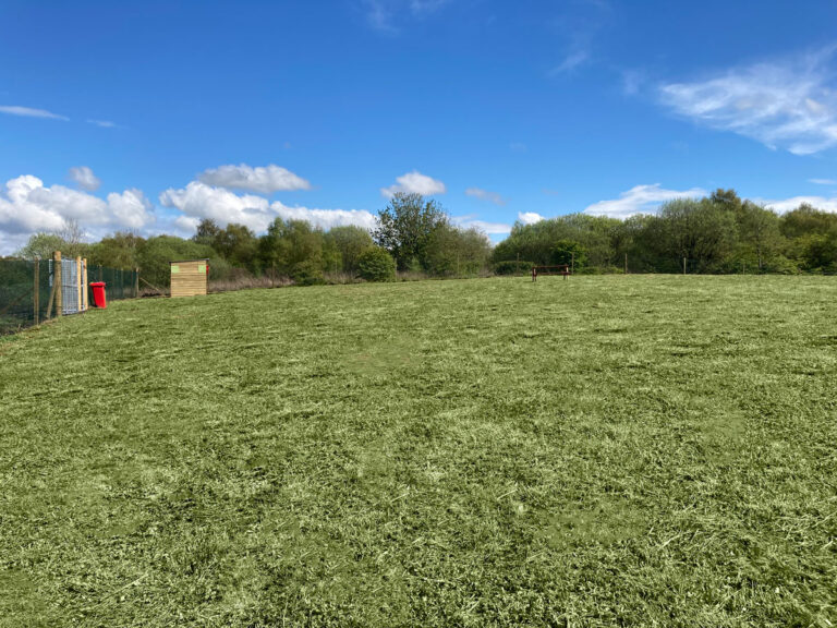 1873 aedfdaabed82fcef4d900deb8df3d92b 1 768x576