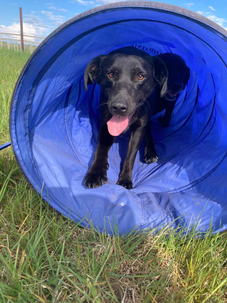 1878 084bea5550cdc29e1628d3f3a7239f6c 1 768x1024