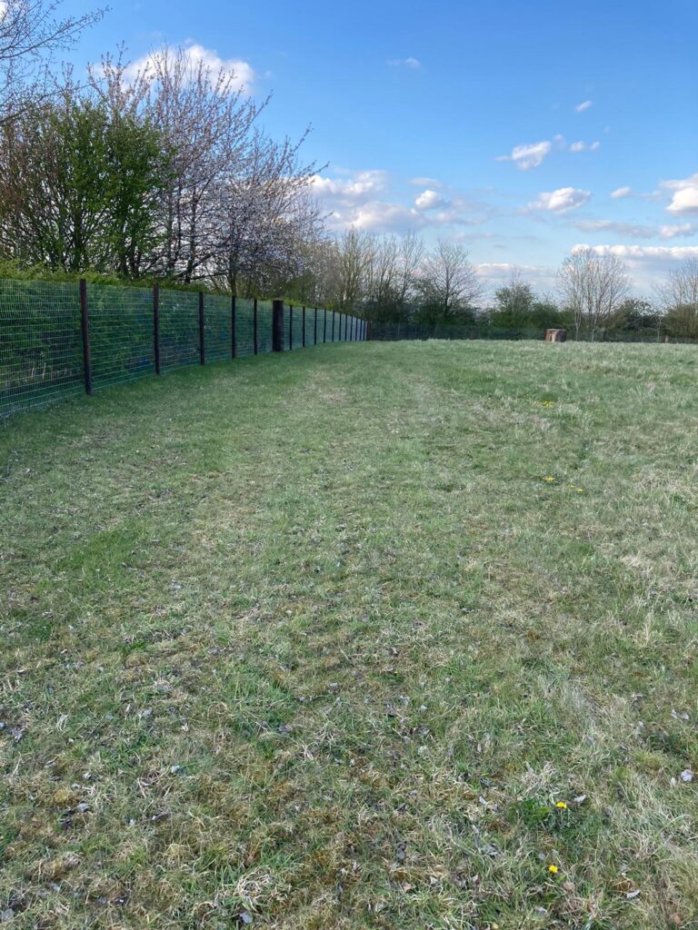 1878 2c2e6941daa1a55bd27f2c071bc0b22a 1 768x1024