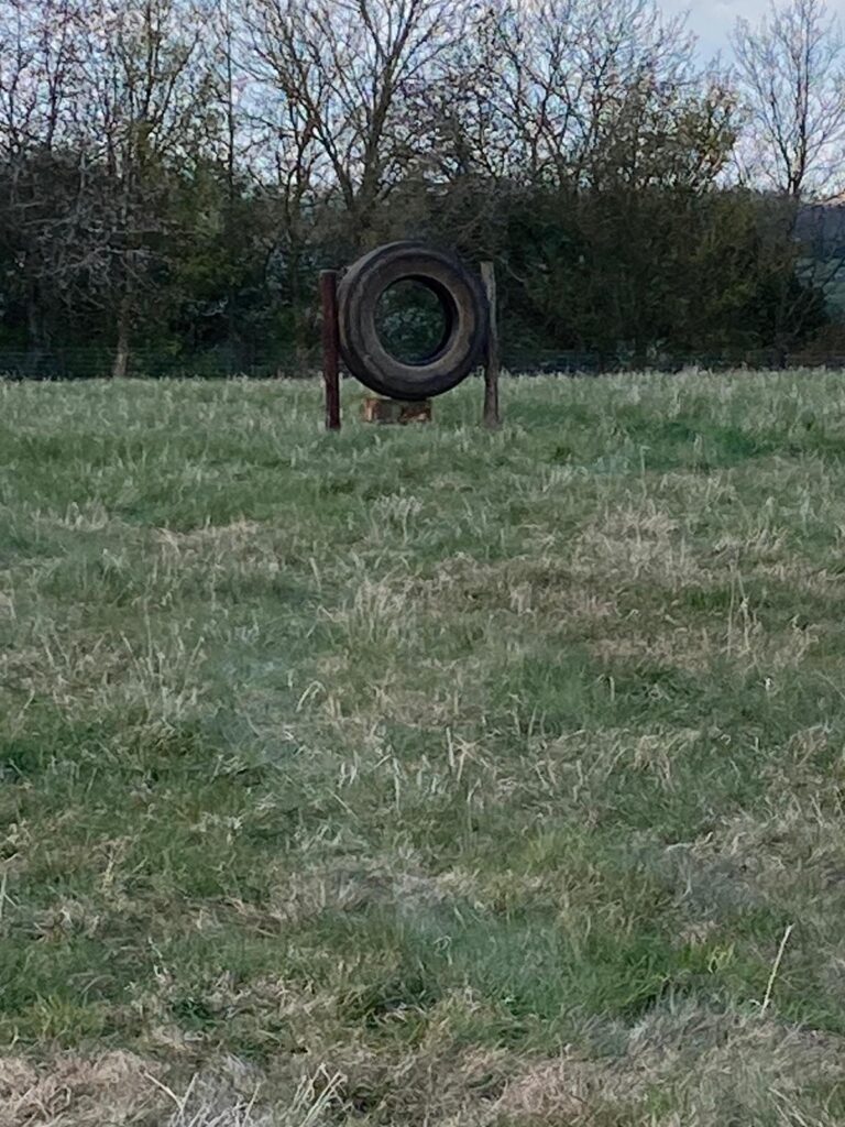 1878 36415378e16b572ac79ff94d2120d4c3 1 768x1024