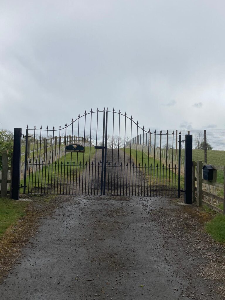 1878 4711bc7fa145a345fb8f5377e2d26292 1 768x1024