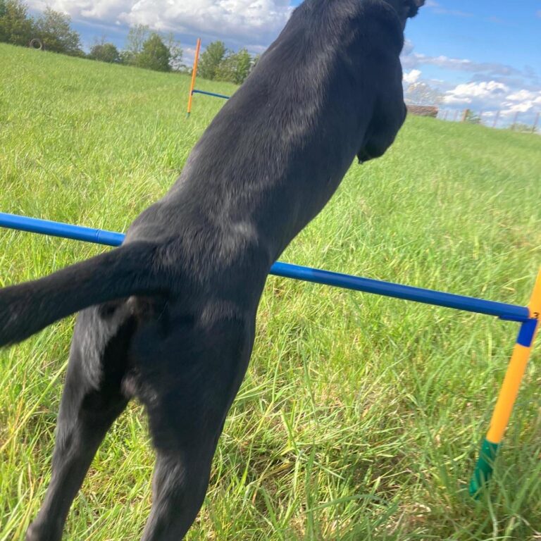 1878 4effca78a68720f17d78ddea6f7dc4d5 1 768x768