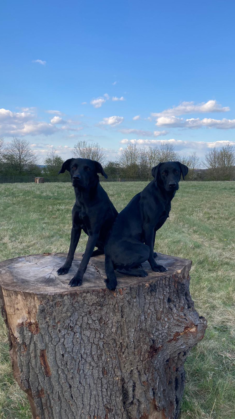 1878 ba538c3911544365b56e7ce319d4ebf0 1