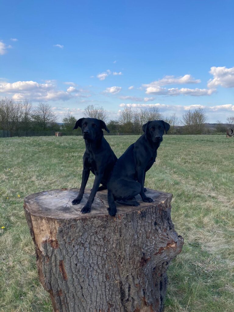 1878 e4364cefaca66adabd7b105e223ee116 1 768x1024