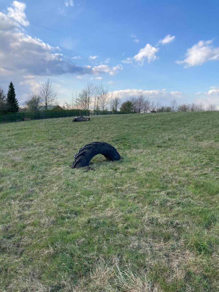 1878 f032709f74fbd184c8acf09b7911991a 1 768x1024